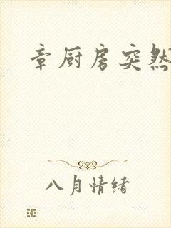 章厨房突然挺入