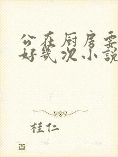 公在厨房要了我好几次小说