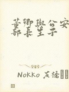 董卿与公安部副部长生子