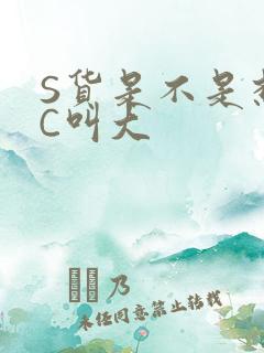 S货是不是想挨C叫大