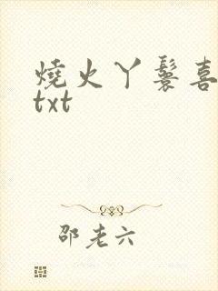 烧火丫鬟喜洋洋txt