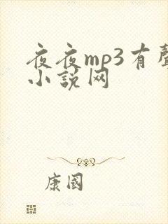 夜夜mp3有声小说网