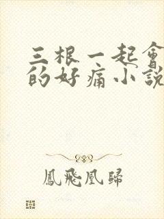 三根一起会坏掉的好痛小说