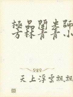 极品开光师李南方林青青小说叫