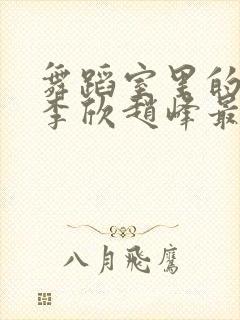 舞蹈室里的景色李欣赵峰最新章节