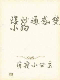 爆炒通感双胞胎小狗