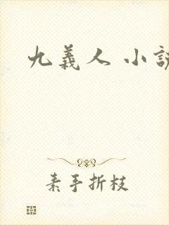 九义人 小说