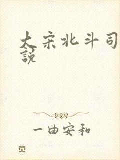 大宋北斗司 小说