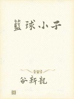 篮球小子