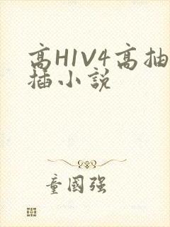 高H1V4高抽插小说