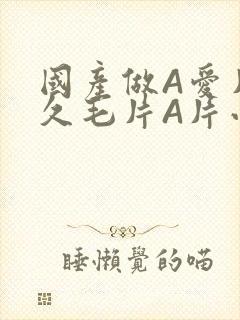 国产做A爱片久久毛片A片小说