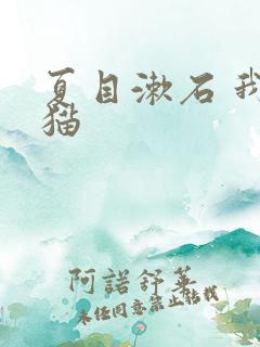 夏目漱石 我是猫