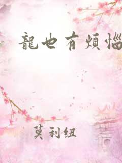 龙也有烦恼小说