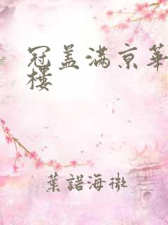 冠盖满京华19楼