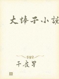 大棒子小说