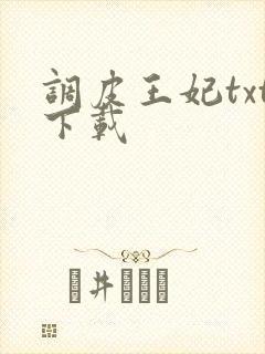 调皮王妃txt下载