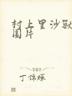 村上里沙兽皇及图片