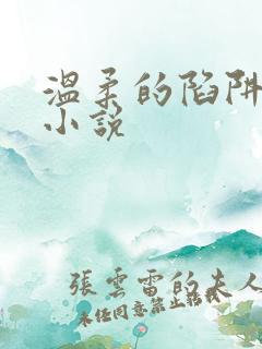 温柔的陷阱周芸小说