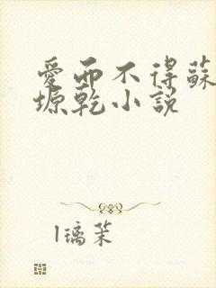 爱而不得苏路顾塬乾小说