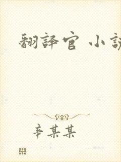 翻译官 小说