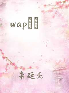 wapС˵