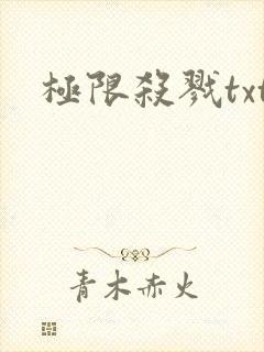 极限杀戮txt