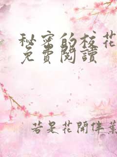 秘密的校花小说免费阅读