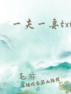 一夫一妻txt