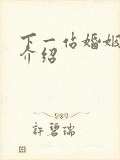 下一站婚姻剧情介绍