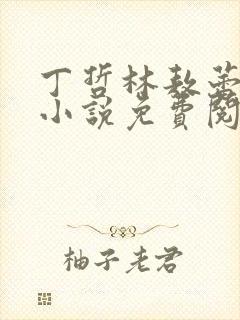 丁哲林敖蕾主角小说免费阅读笔趣