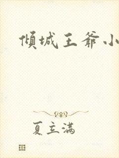 倾城王爷小小妃