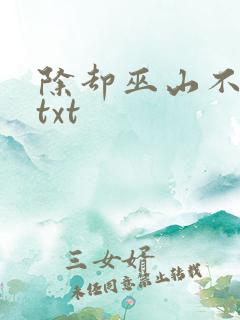 除却巫山不是云txt