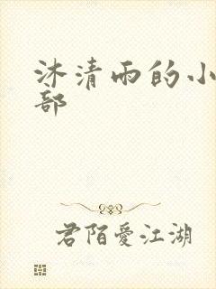 沐清雨的小说全部