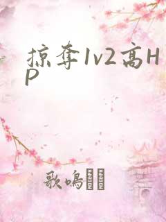 掠夺1v2高HP
