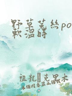 野草菟丝po温软温时