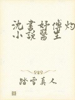 沈书妤傅灼抖音小说医生