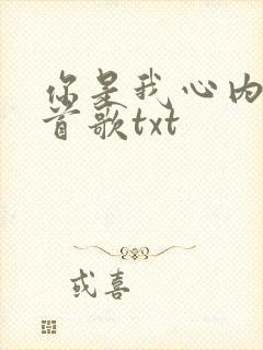 你是我心内的一首歌txt