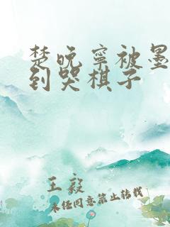 楚晚宁被墨燃做到哭棋子