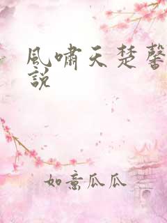 风啸天楚馨月小说