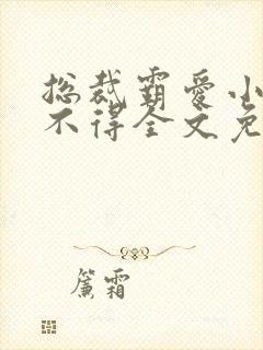 总裁霸爱小妻惹不得全文免费阅读