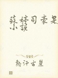 苏婷司豪是什么小说