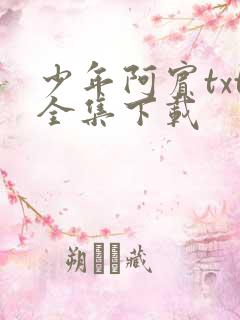 少年阿宾txt全集下载