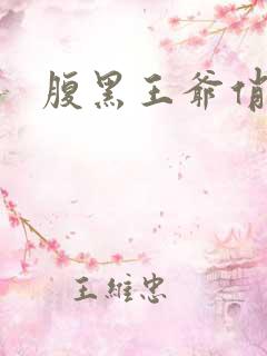 腹黑王爷俏医妃