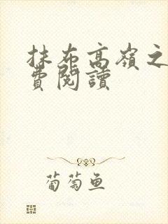 抹布高岭之花免费阅读