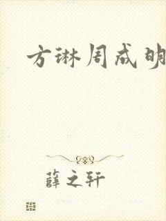 方琳周成明小说