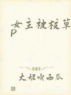 女主被校草们NP