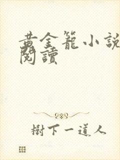 黄金笼小说免费阅读