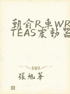 朝俞R车WRITEAS震动器