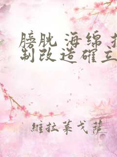 膀胱 海绵 控制改造确立m