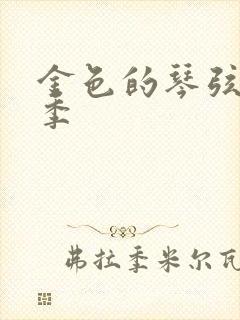 金色的琴弦第二季